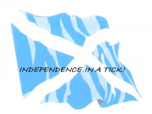 Independence in a tick